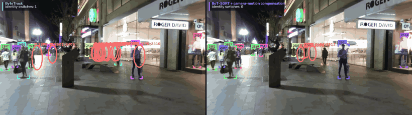 Camera motion